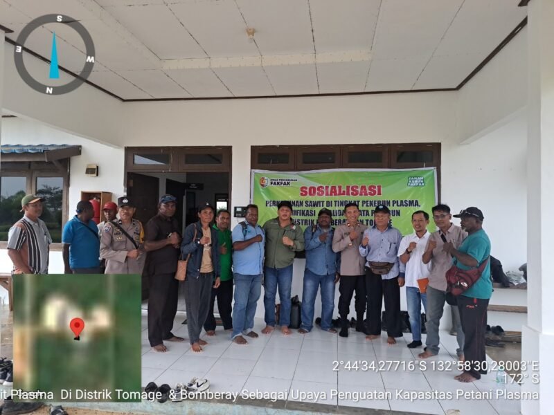 Sosialisasi rencana usaha perkebunan sawit plasma masyarakat di Distrik Tomage dan Bomberay yang laksanakan oleh PT. Rimbun Sawit Papua (RSP) bersama Dinas Perkebunan (Disbun) Fakfak.