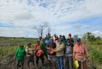 Plt. Kepala Dinas Perkebunan Fakfak, Widhi Asmoro Jati, ST, MT bersama kelompok hilirisasi Karya Mandiri yang dipimpin oleh Albayan Iha berhasil panen kayu putih.