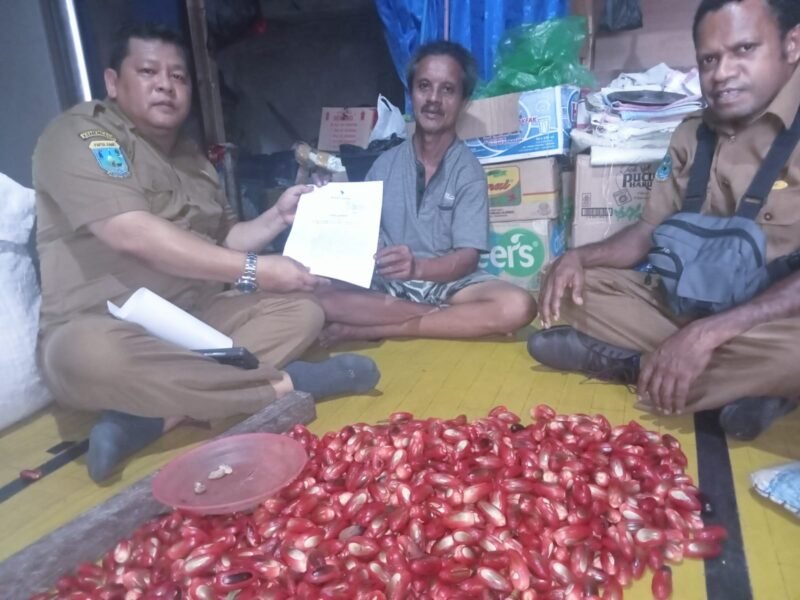 Melalui edaran Bupati Fakfak Nomor 500.8.3/752/BWP/2024 Plt. Kepala Dinas Perkebunan Fakfak Widhi Asmoro Jati menekankan agar pedagang pengepul agar tidak menjemur pala di tempat yang tidak memenuhi standar kebersihan.