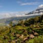 Alam Papua (Foto: Istock)