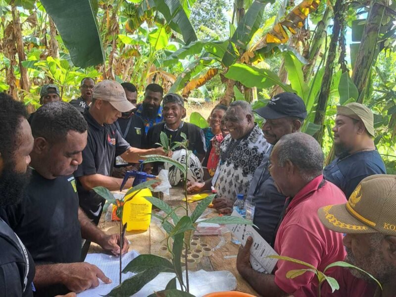Foto. Pelatihan budidaya tanaman pala di Kabupaten Teluk Bintuni.