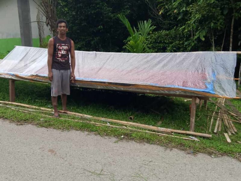 Foto. Ahmadi, salah satu pengepul pala Tomandin di Kampung Kwagas, Distrik Kayauni, Kabupaten Fakfak.