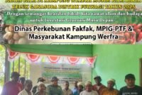 Foto. Prosesi Buka Sasi Kerakera digelar masyarakat Teluk Ganasoba di Kampung Werfra, Distrik Furwagi.