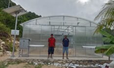 Sinergi Pemprov Papua Barat dan Dinas Perkebunan Fakfak Bangun Dua Solar Dryer Pala Jumbo Berbasis Swakelola Tahun 2025