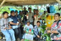 Dinas Perkebunan menyalurkan bibit pala Melalui program GERTAK didistribusikan langsung ke kebun milik kelompok tani.